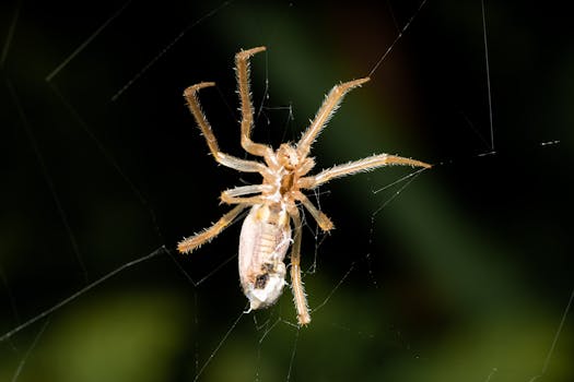 Rosegal 2023: Navigating the Peaks & Pitfalls of Budget Fashion